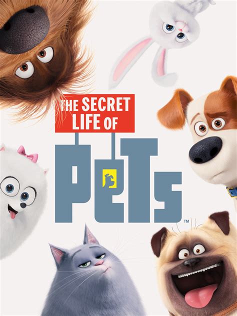 The Secret Life Of Pets 